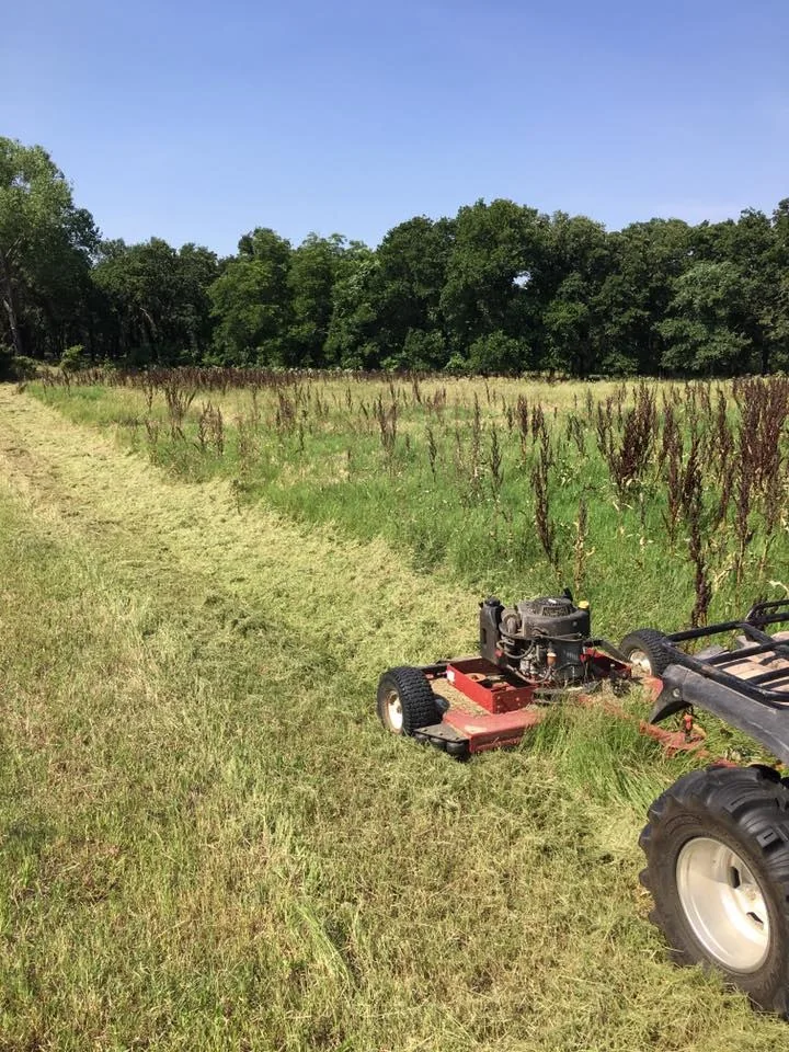 Cut Line in Progress by Yard Sharks Property Services