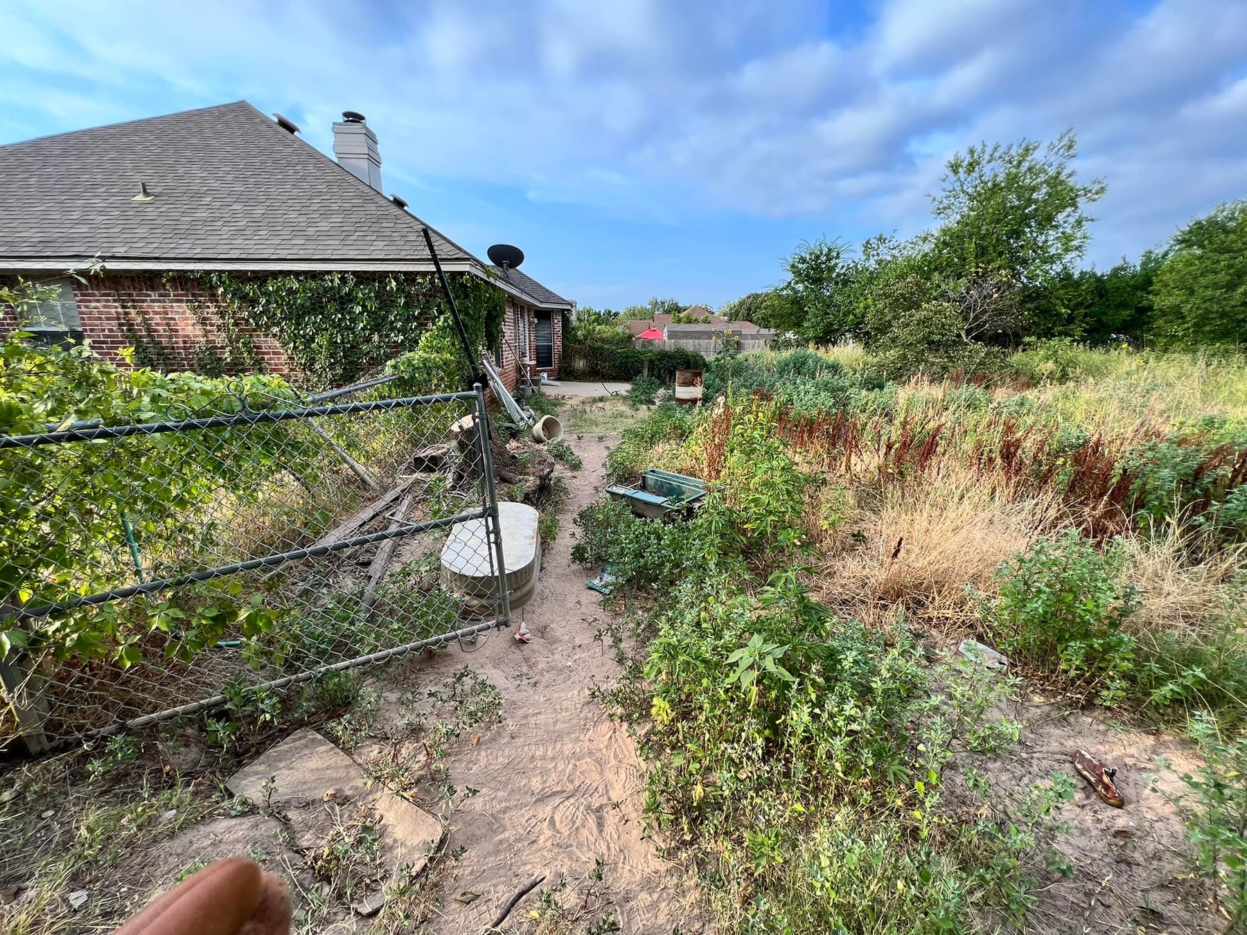 Residential Overgrowth by Yard Sharks Property Services