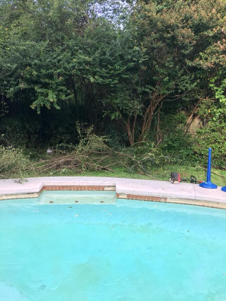 Poolside Brush Cleanup by Yard Sharks Property Services