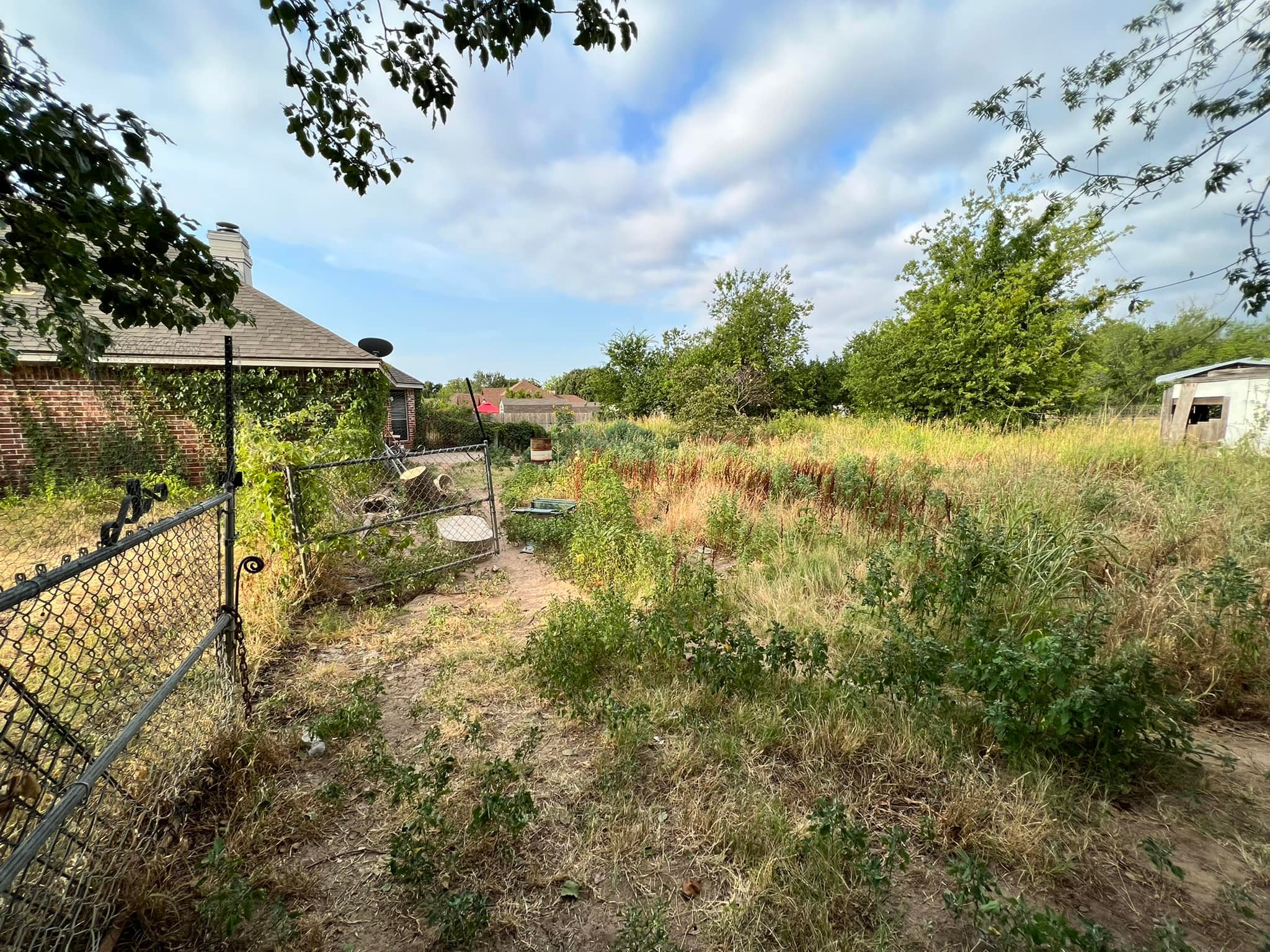 Large backyard before cleanup