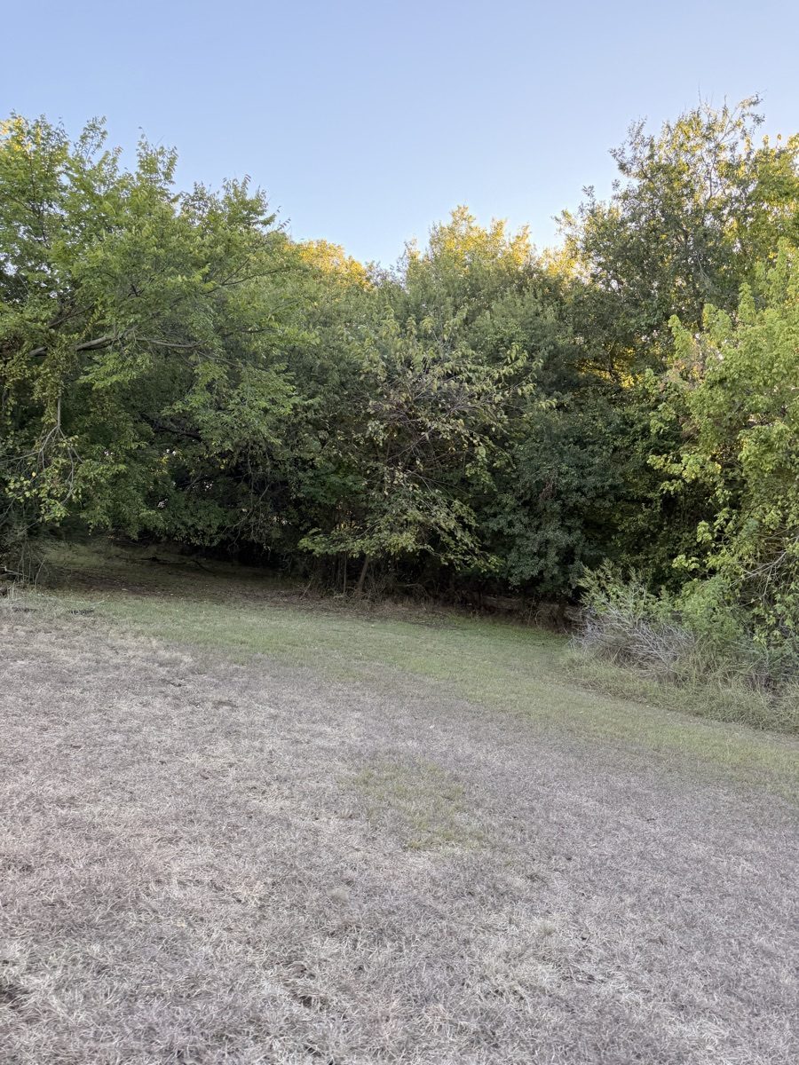 Mowed lawn bordered by dense trees and shrubs in Weatherford, Texas.