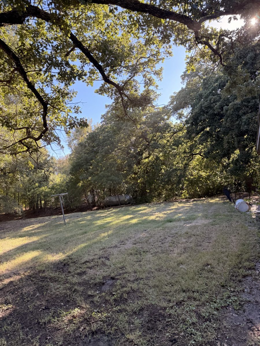 Mowed backyard with mature shade trees in Weatherford, Texas.