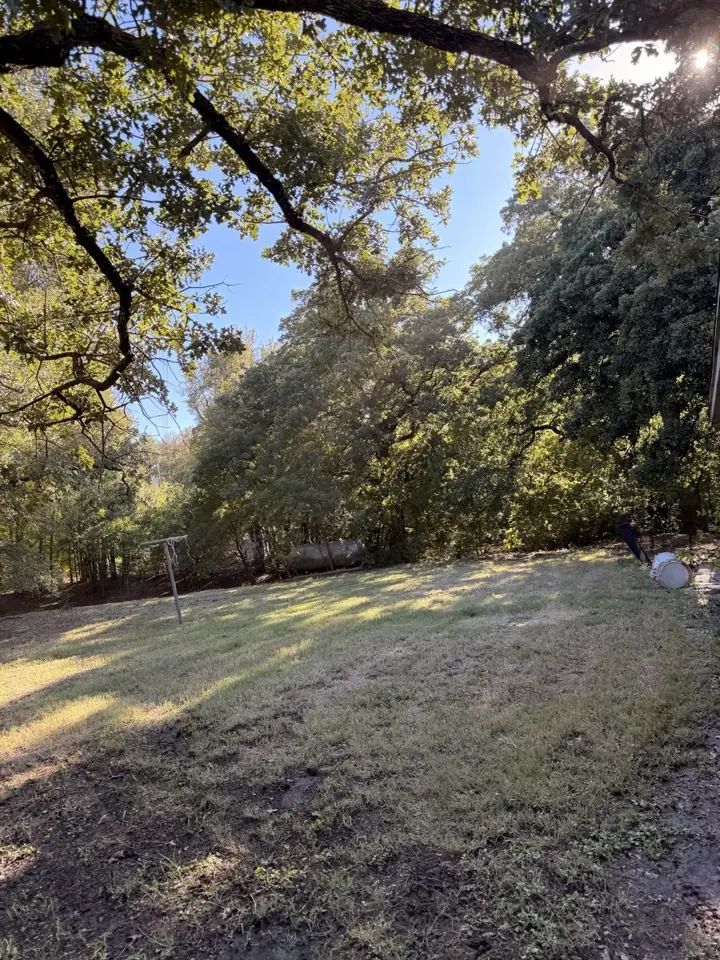 Mowed backyard with mature shade trees in Weatherford, Texas.
