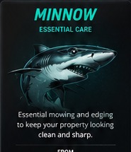 Minnow service package shark