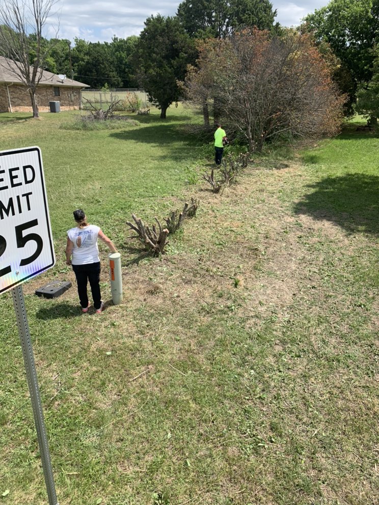 Tree Service by Yard Sharks Property Services in Boyd, TX